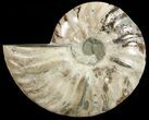 Agatized Ammonite Fossil (Half) #68811-1